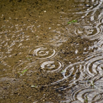 Água Pluvial
